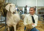 Positive start for 165th Great Yorkshire Show