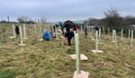 Woman edges closer to goal of growing 5,000 trees by her 85th birthday