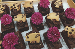 Vegan festival returns to Sheffield with a new venue