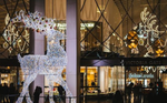 Join us for a special evening of Festive Shopping with Toyota & John Lewis
