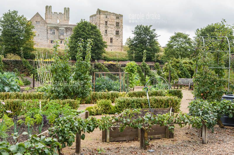Yorkshire’s secret garden saved in £50,000 appeal