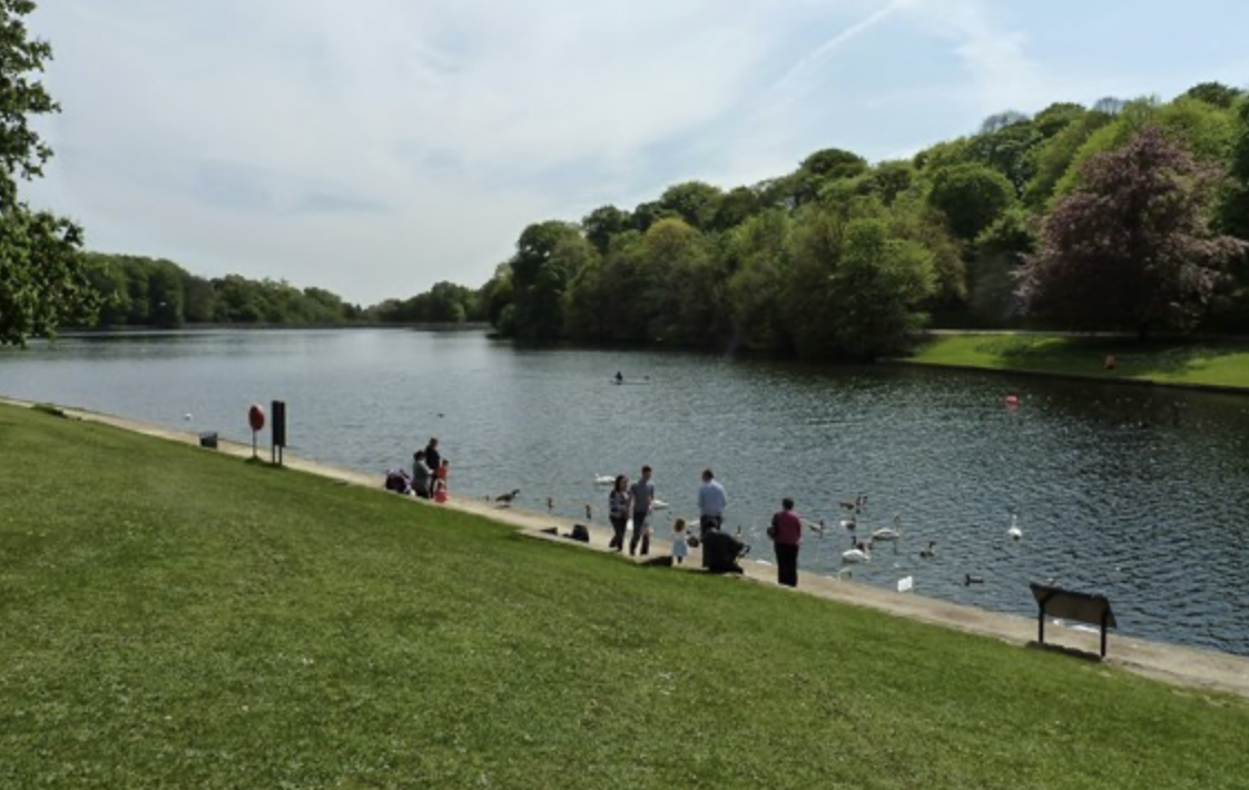 Leeds sets out tree-mendous ambition for parks and green spaces