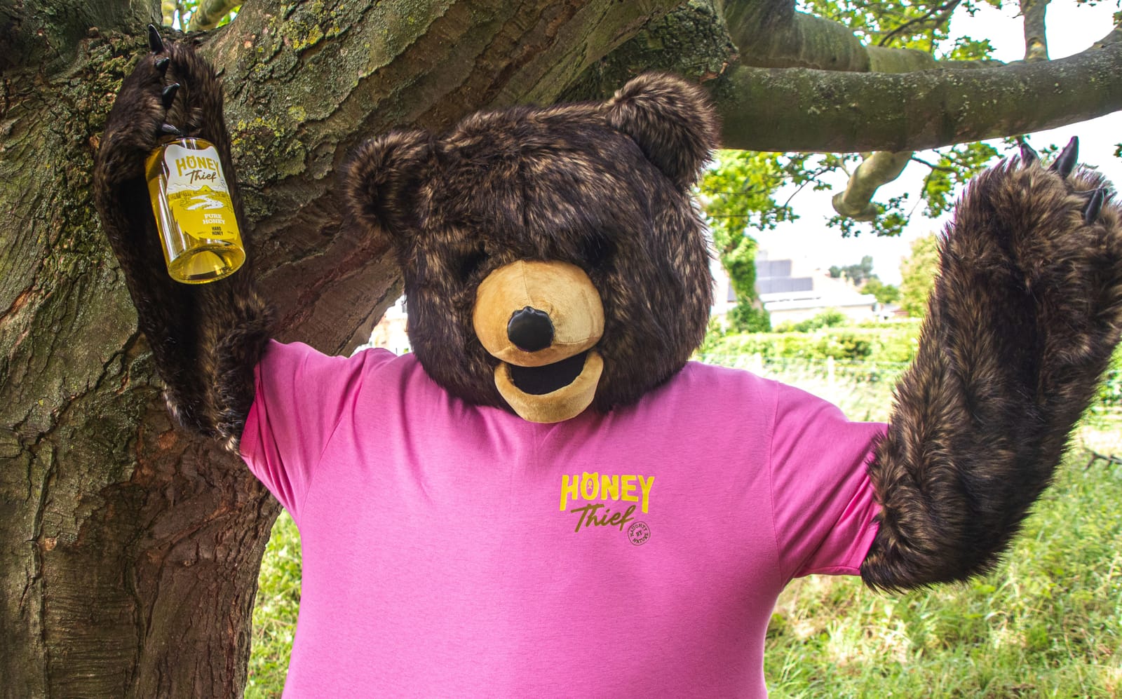 Honey Thief makes York a little bit sweeter