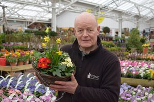 Bradford Garden Centre to host free planting advice sessions