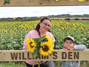 Stunning sunflowers take centre stage