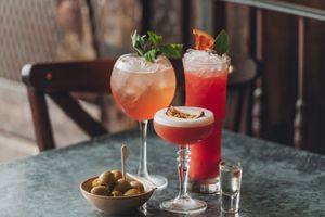 Official opening date announced for The Botanist Barnsley
