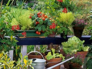 The ultimate way to reap health and financial benefits of growing your own