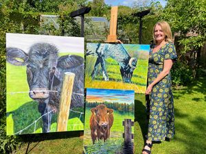 Record sheep numbers and a brush with art for overall champion