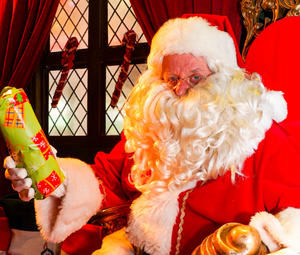 Magical new festive grotto announced for White Rose