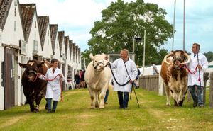 Tickets on sale next month for the Great Yorkshire Show 2024
