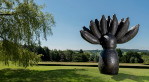 Yorkshire Sculpture Park announces new Governance