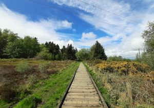 Seven Leeds parks awarded some of the best in the country
