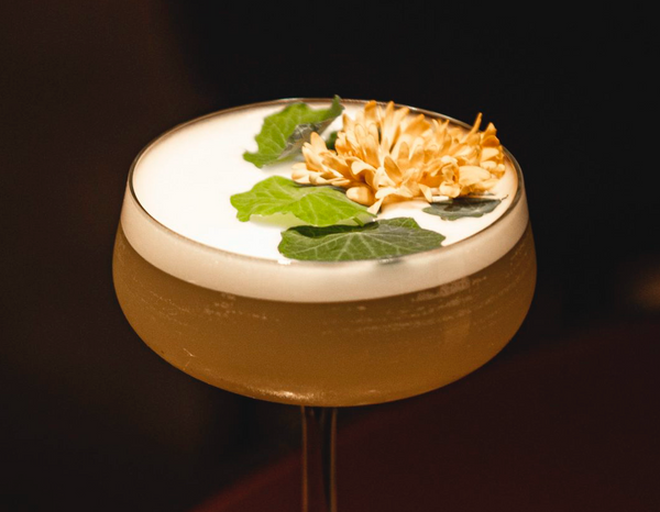 Dakota Leeds launches new cocktail menu that’s literally a work of art