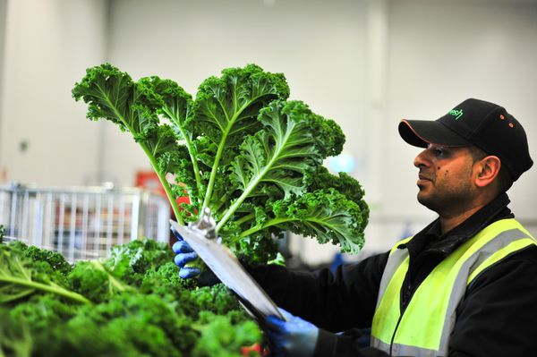 Yorkshire online grocery store donates delivery charges to UK charity