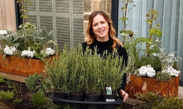 Garden Centre steps in to help create lockdown TV garden