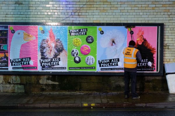 Punk Ass Poultry flocks to Leeds for city art project