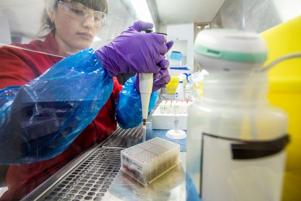 Fighting the pandemic and the glass ceiling – all in a day's work