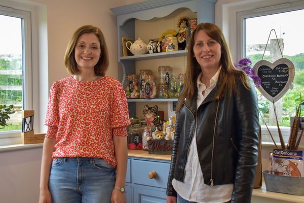 Barnsley entrepreneur pioneers ‘pawfect’ pussycat hols