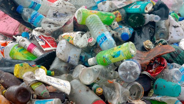 Over 9,000 in Yorkshire sign up for UK’s biggest ever plastics investigation