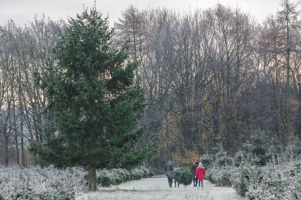 Festive shop pops up again in Methley with Christmas looming