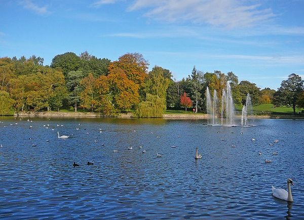 Leeds City Council scraps idea for parking charges in parks