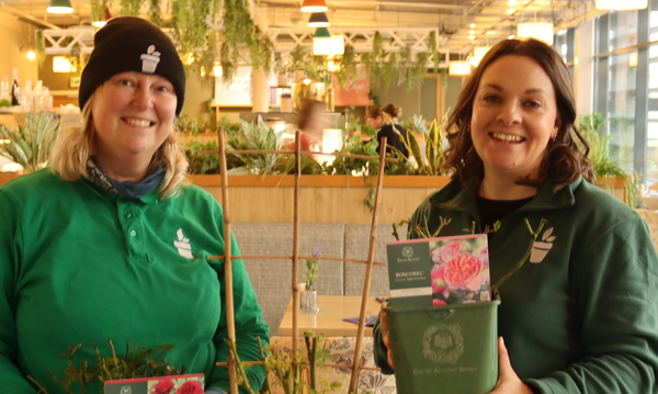 Bradford Garden Centre to host pruning masterclass with leading rose grower